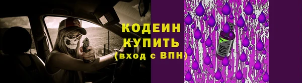 сатива Белокуриха