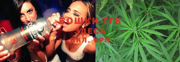 сатива Белокуриха
